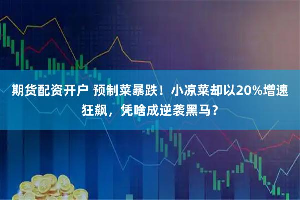 期货配资开户 预制菜暴跌！小凉菜却以20%增速狂飙，凭啥成逆袭黑马？